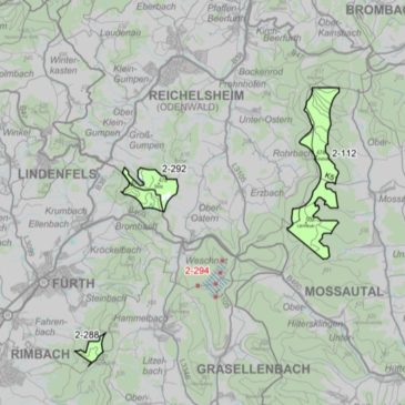 Stotz und Morsberg bleiben einzigartige Naturräume